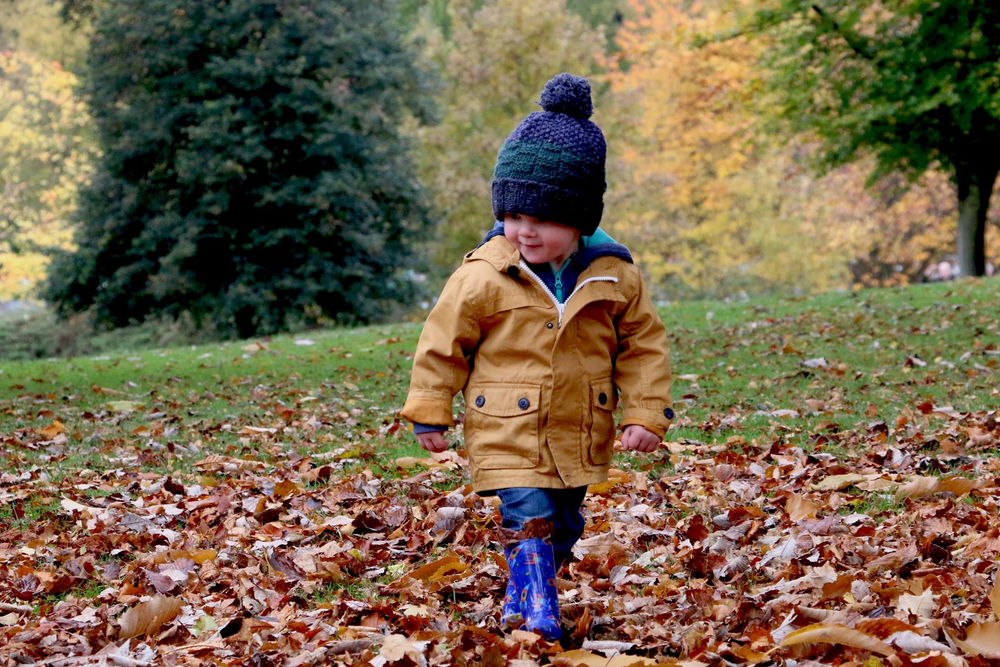 5 Fun Fall Activities To Do With Your Kids